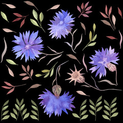 Seamless pattern with cornflowers and leaves