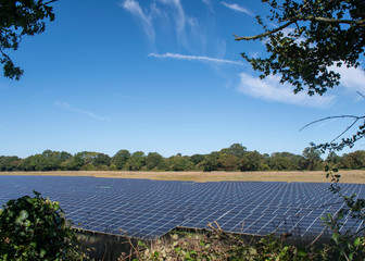 A solar panel farm in Southern England an increasingly important source to the national grid of renewable energy.