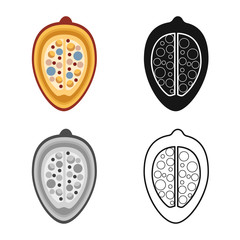 Vector design of groundnut and seed symbol. Collection of groundnut and vitamins stock symbol for web.