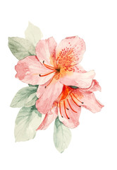 Fototapeta premium Color illustration of flowers in watercolor paintings