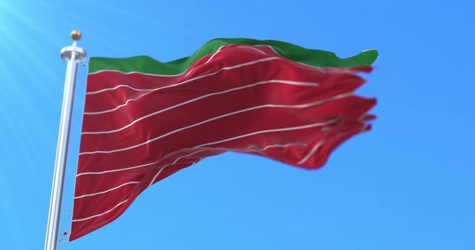 Flag of the spanish province of Zamora in Castile and Leon, Spain - Loop