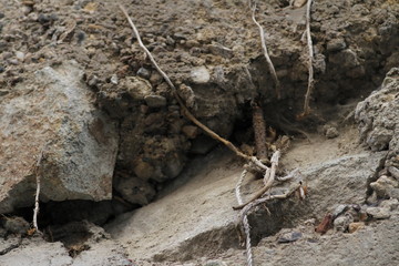 A detail of a solid, ferrous wall made of concrete. Concrete wall close up shoot.