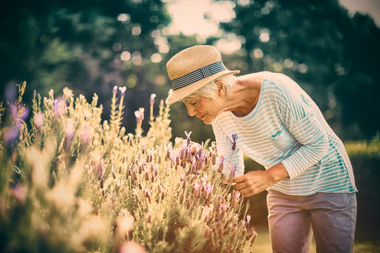 Senior Woman Smelling Flowers