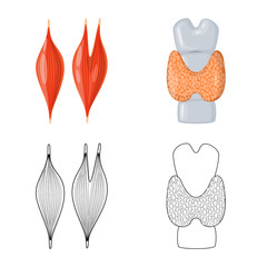 Vector illustration of biology and scientific symbol. Collection of biology and laboratory vector icon for stock.