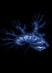 Beautiful blue fractal