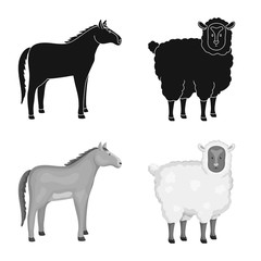 Isolated object of breeding and kitchen symbol. Set of breeding and organic stock vector illustration.