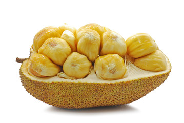 Fresh jackfruit cut out isolated on white background