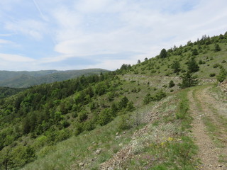 Fototapeta na wymiar Mauntain Stolovi Serbia elevations with hiking trails