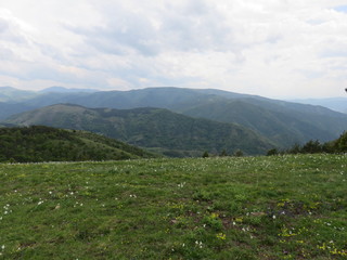 Naklejka na ściany i meble Mauntain Stolovi Serbia pasture wih distant mauntain range