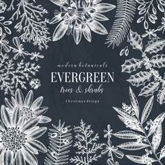 Obraz premium Merry Christmas background. Vector frame with hand drawn conifers and evergreen plants. Vintage design with botanical and floral elements. Winter decorative template on chalkboard