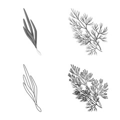 Obraz premium Vector illustration of taste and product icon. Set of taste and cooking vector icon for stock.