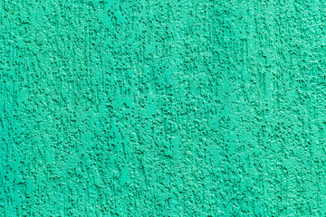 Background. Plaster. Plastered wall. Bark beetle. Close-up.