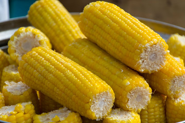 boiled corn in an iron bowl at a farmers fair