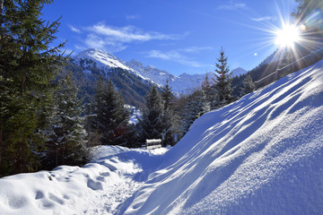 Fototapeta na wymiar Sunny day in the Alps