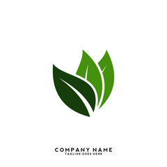 Creative green leaf logo template