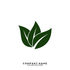 Creative green leaf logo template