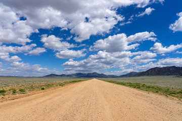 Road to the Mountains