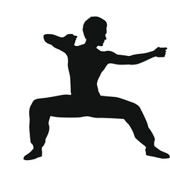 Martial Arts Silhouette