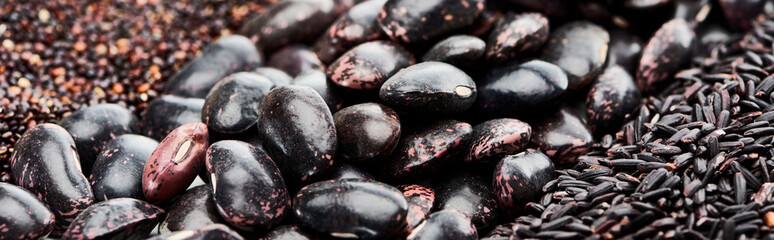 panoramic shot of assorted black beans, rice and quinoa