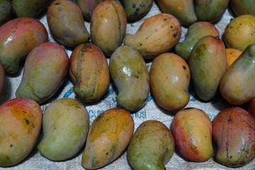 früchte bananen nüsse auf dem markt in madagaskar in afrika mango