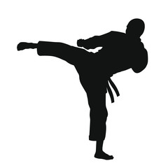 Martial Arts Silhouette