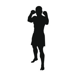 Martial Arts Silhouette