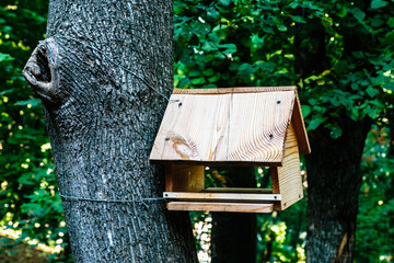 Wooden bird feeder on a tree. Close-up.