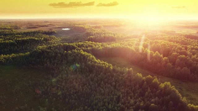 Aerial ecological forest sunset beautiful panorama shot. Ideal background for forest conservation, save biology and nature, ecology theme. Global warming and forest fire theme.