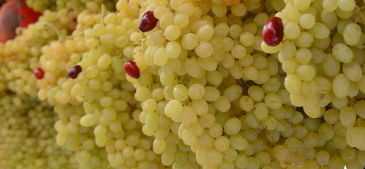 fresh and organic grapes at the market