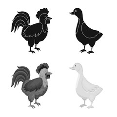 Isolated object of breeding and kitchen sign. Set of breeding and organic vector icon for stock.