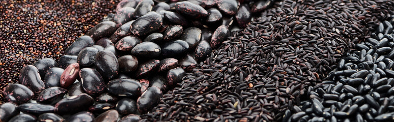 panoramic shot of assorted black beans, quinoa and rice