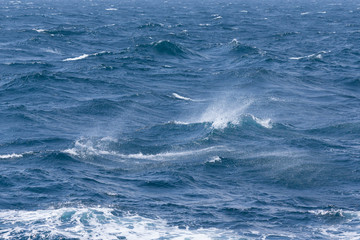 Waves of stormy cold sea on the south of Iceland