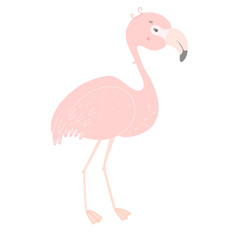 Cute pink flamingo. Flat style illustration