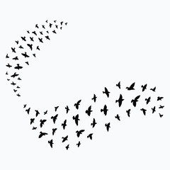 Silhouette of a flock of birds. Black contours of flying birds. Flying pigeons. Tattoo.