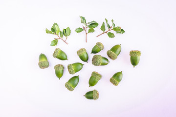 tree with green leaves isolated on white background