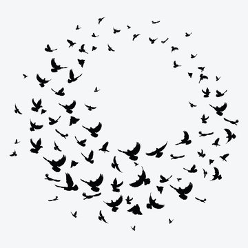 recommend clip art: Silhouette of a flock of birds. Black contours of flying birds. Flying pigeons. Round tattoo.