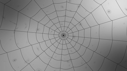 explosion of pieces of a concentric web on a gray background, scatter in different directions