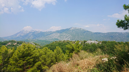 Obraz premium Biokovo mountain nature park and trees from Makarska Riviera, Dalmatia, Croatia