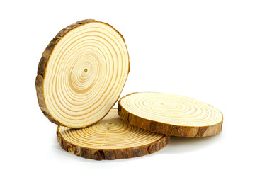 Natural round wood slices