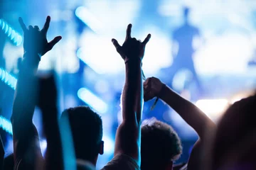 Foto op Plexiglas crowd of people having fun at concert - summer music festival © Melinda Nagy