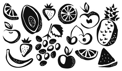 Collection of different fruits drawing vector illustration