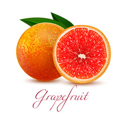 Isolated Grapefruit on White Background in Realistic Style