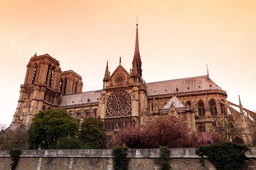 Fototapeta premium Notre Dame de Paris cathedral, France. Gothic architecture