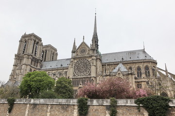 Fototapeta na wymiar Notre Dame de Paris cathedral, France. Gothic architecture