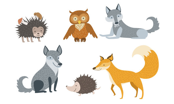 Cute Wild Forest Animals Set, Hedgehog, Owl, Wolf, Fox Vector Illustration