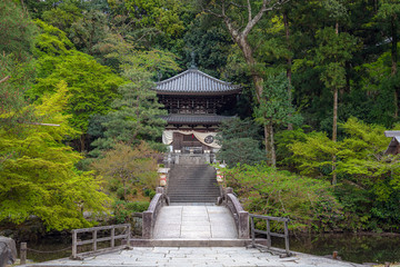 京都 知恩院 森の中の納骨堂