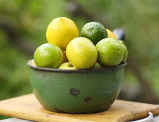 lime and lemon mixture in bowl on green summer plants garden background