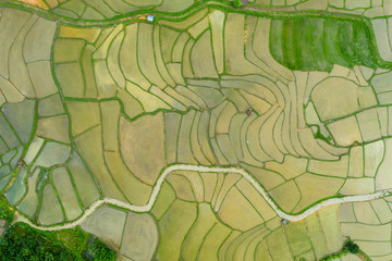 Aerial view of agriculture in rice fields for cultivation in Nan Province, Thailand. Natural the texture for background