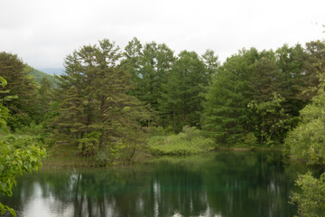 Fototapeta na wymiar Beautiful pond in Japan, colorful, trees, reflection