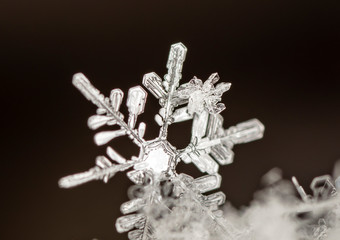 winter photo of snowflakes in the snow